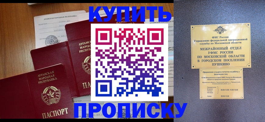 прописка в квартире в Ленинградской области